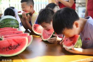 趣味吃瓜大比拼,一场舌尖上的狂欢盛宴