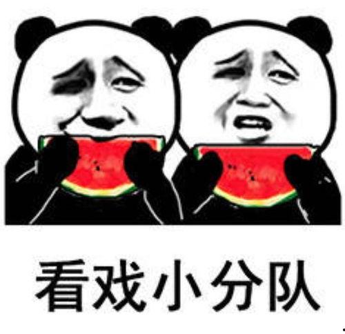 娱乐圈吃瓜图片表情包